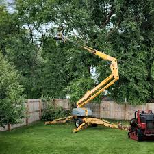 Best Hedge Trimming  in Waterloo, IN